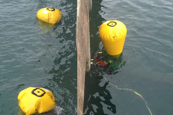 Fleximake Underwater Lift Bag | 50kg–20,000kg
