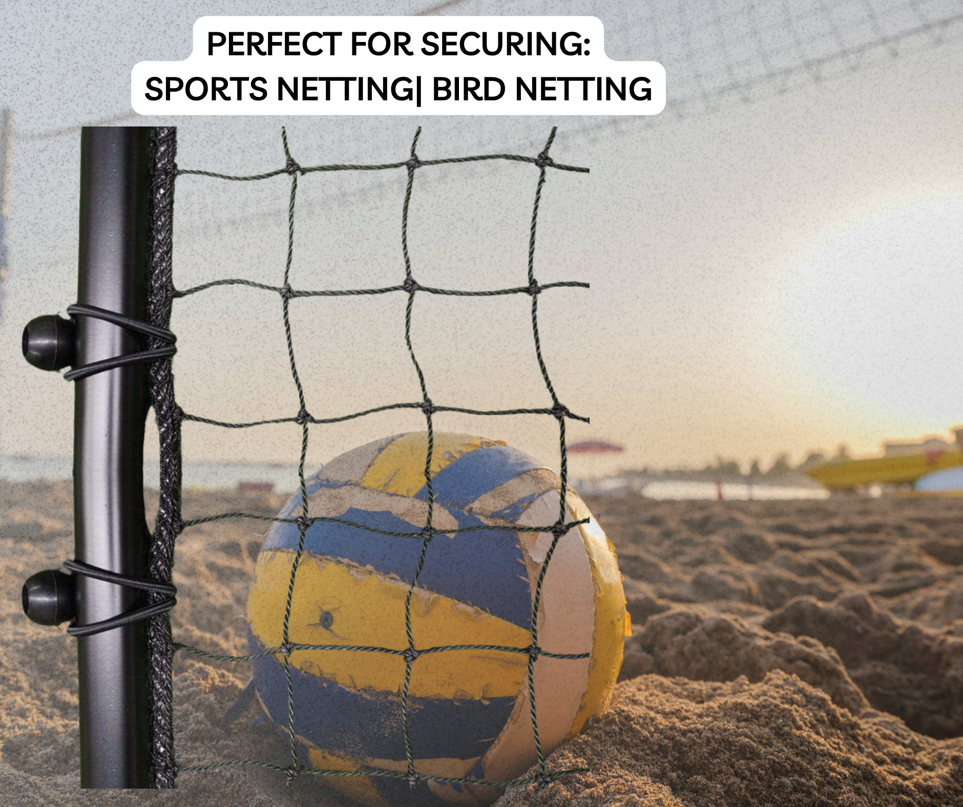 Heavy Duty High-Elastic Ball Bungee/Bungie Cords