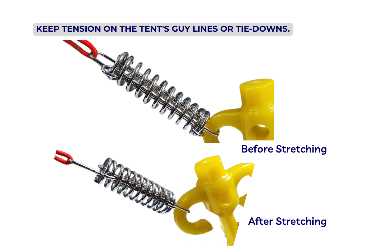 Heavy Duty Trace Spring – 10 Pack